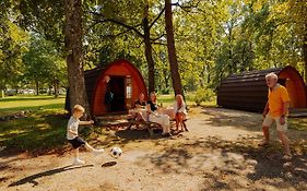 Azur Waldcamping Auwaldsee